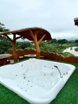 Timberland and Fruit Resort Bilik Photos