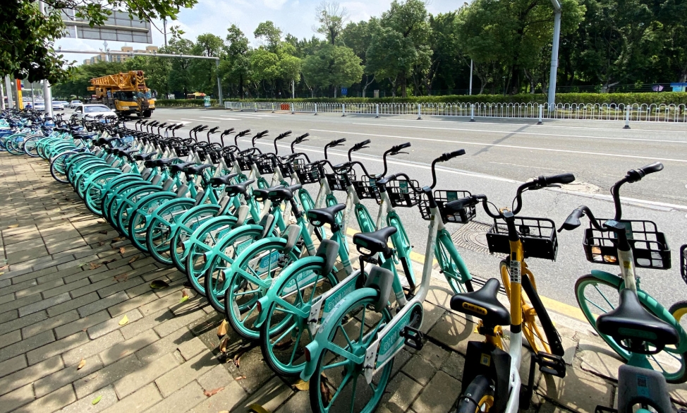5. 🚲 Guangzhou on Two Wheels: Silent Speed & Hidden Alleys
